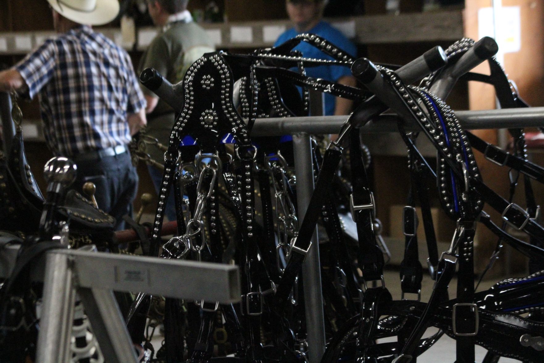 Many harnesses are sold during the Waverly Midwest Horse Sale